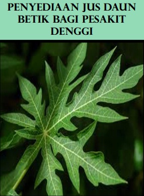 Garis Panduan Mercury